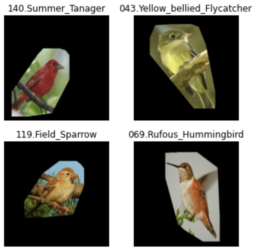 Fine-Grained Bird Image Classification